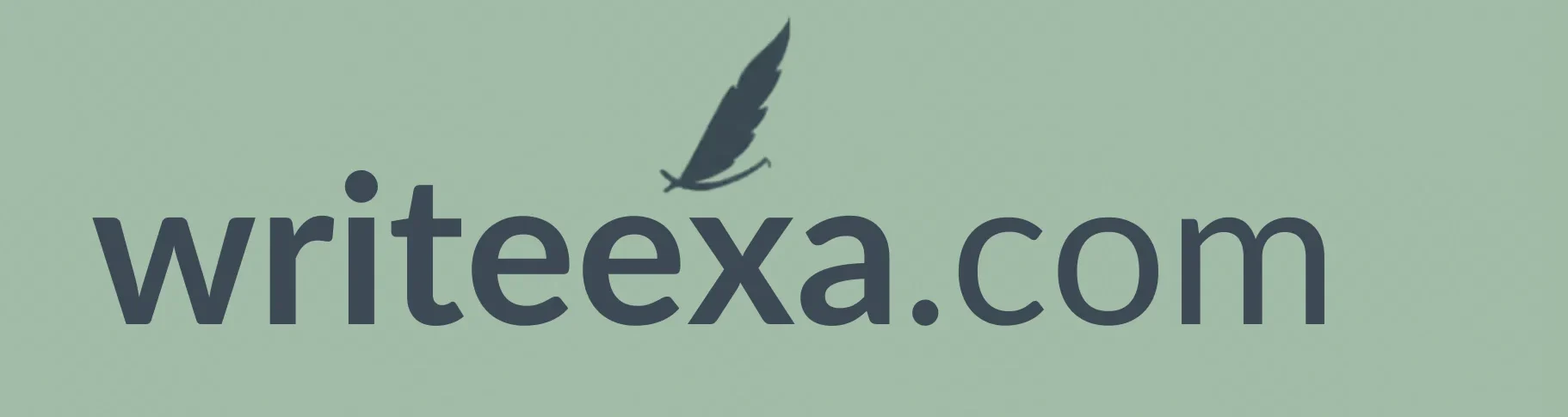 WritEExa.com